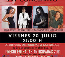 Cartel a3 1.2 web