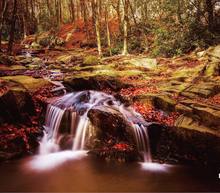 Tardor montseny